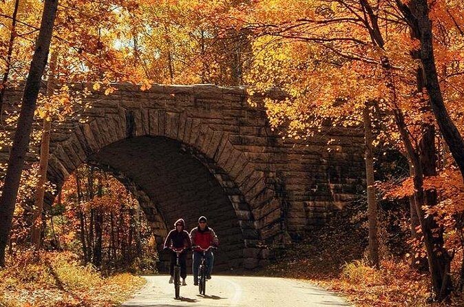 Explore Acadia with Ease Premium E-bike Rentals and Free Delivery - Why This Experience Is Worth Considering
