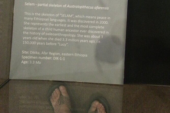 Explore Addis Ababa - Transportation, Timing, and Group Size