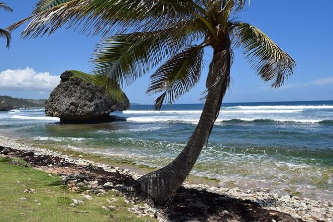 Explore and Discover Barbados By Land & By Sea - Key Points