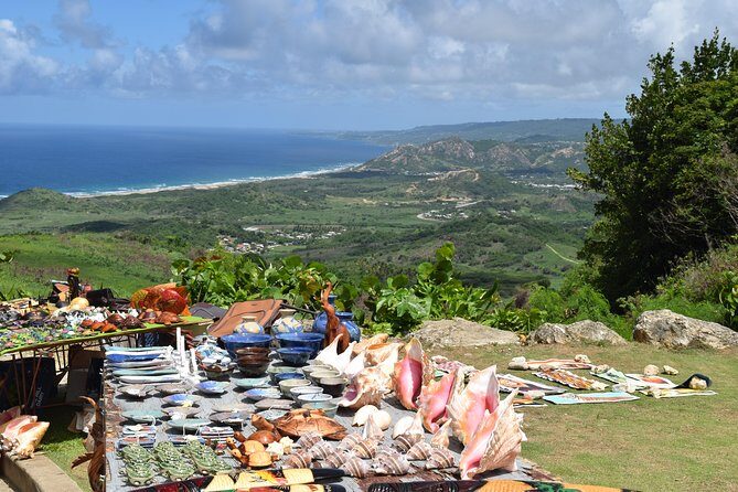 Explore and Discover Barbados By Land & By Sea - A Closer Look at the Full-Day Land & Sea Tour