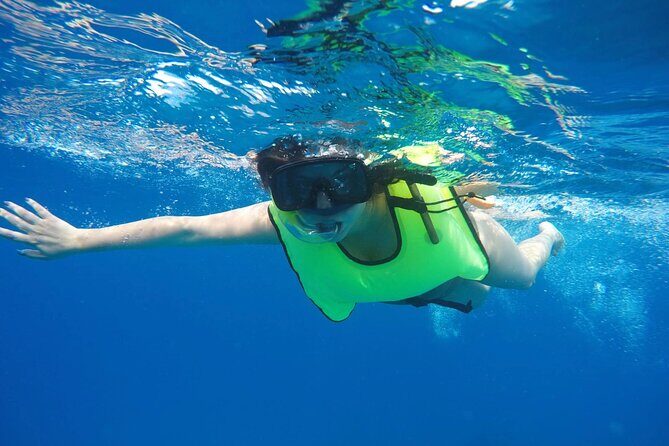 Explore and Discover Barbados By Land & By Sea - The Sum Up