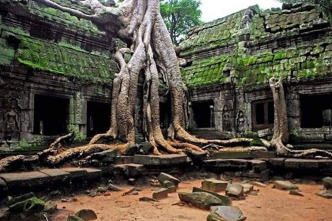 Explore Angkor Wat Sunrise Small Tour Private VIP Car - Starting at Dawn: Angkor Wat and Sunrise