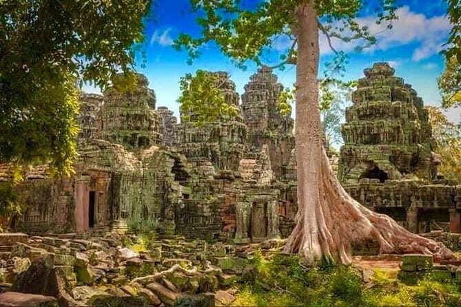 Explore Angkor Wat Sunrise Small Tour Private VIP Car - Jungle and Temple: Ta Prohm and Banteay Kdei
