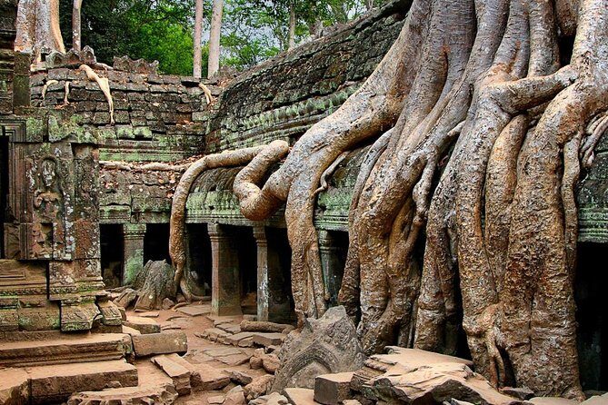 Explore Angkor Wat Temple , Bayon Temple and Jungle Temple Ta-Prohm - The Sum Up: A Well-Rounded, Informative Day