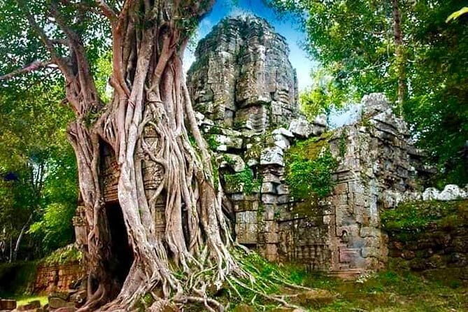 Explore Angkor Wat With TukTuk Tour - The Detailed Experience: What to Expect from Start to Finish