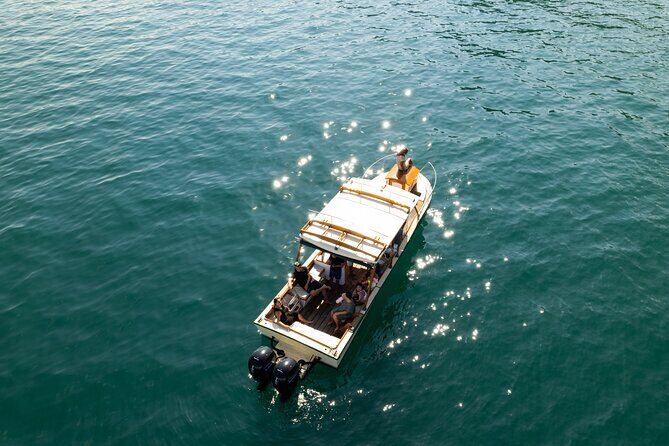 Explore Banderas Bay: Exclusive Boat Journies - The Cost and Value