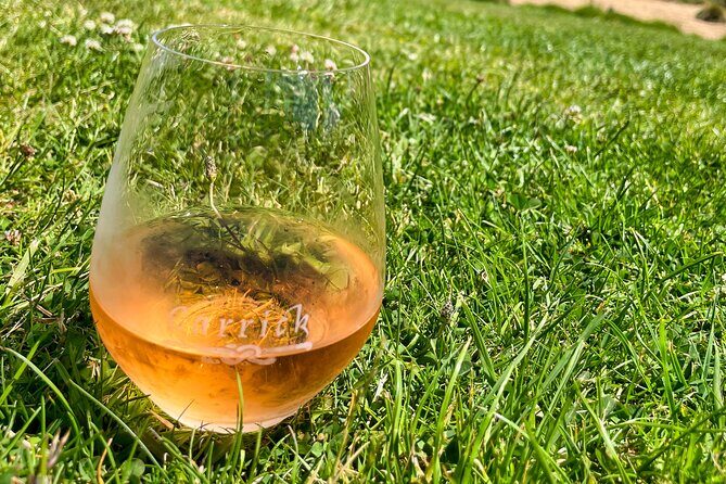 Explore Bannockburn Wineries & Private Wine Retreat by eBike - Real Traveler Perspectives (Based on Reviews)