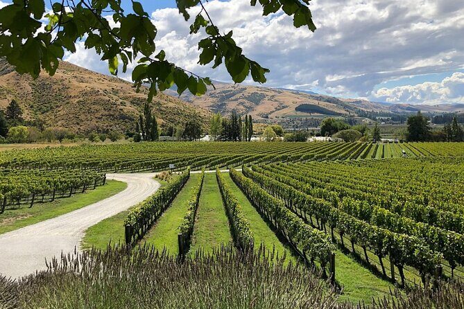 Explore Bannockburn Wineries & Private Wine Retreat by eBike - Final Thoughts