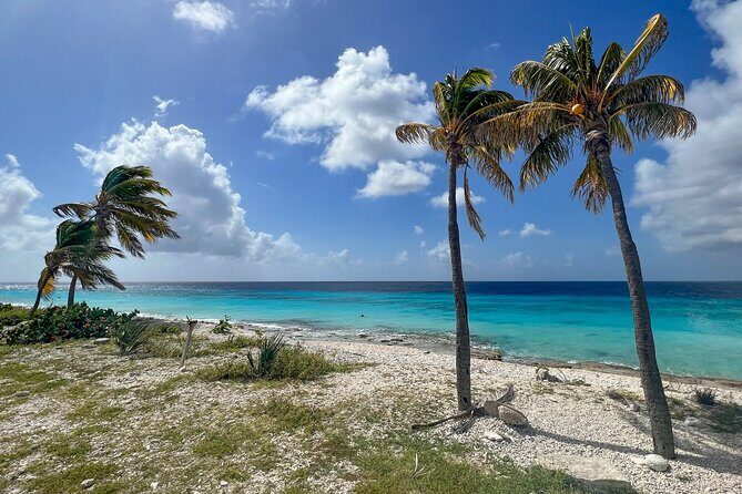 Explore Bonaire: North & South Tour - Price & Value: Is it Worth It?