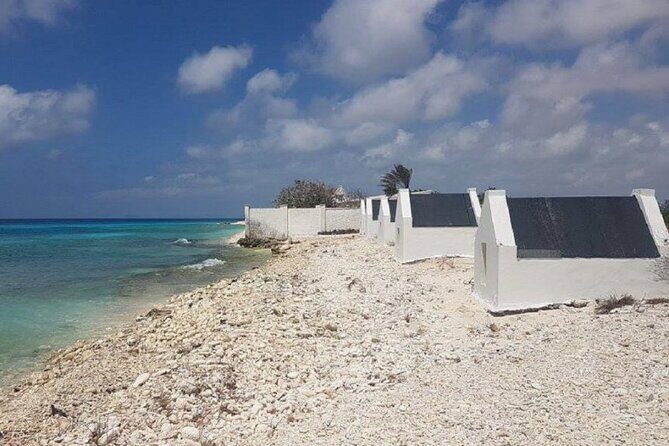 Explore Bonaire: North & South Tour - Final Thoughts — Is This Tour Right for You?