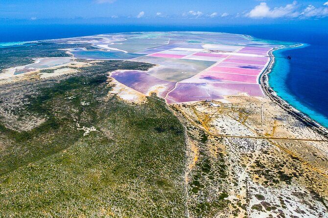 Explore Bonaire: North & South Tour - Final Word