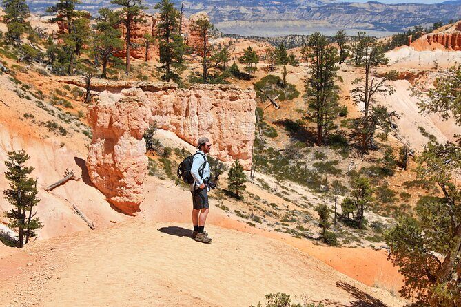 Explore Bryce Canyon: Private Full-Day Tour from Salt Lake City - Key Points