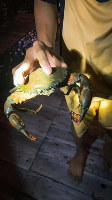 Explore Ca Mau: Dat Mui National Park - In-Depth Look: What Makes This Tour Stand Out