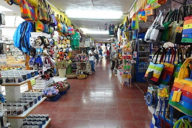 Explore Cancun City Tour! Round transportation - Who Should Consider This Tour?