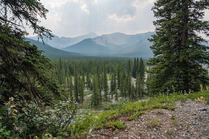 EXPLORE Canmore's HIDDEN Trails and Local Landmarks - 3H Hike - Authentic Experiences and Traveler Feedback