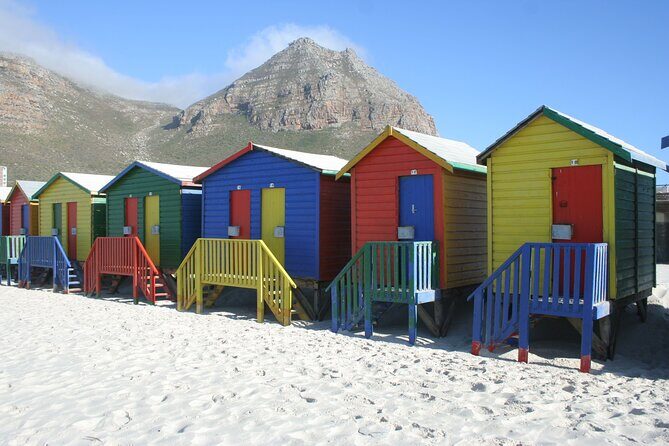 Explore Cape of Good Hope and Boulders Beach Private Tour - Who Is This Tour Best For?