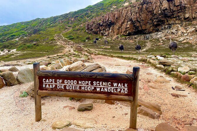 Explore Cape of Good Hope and Boulders Beach Private Tour - FAQ