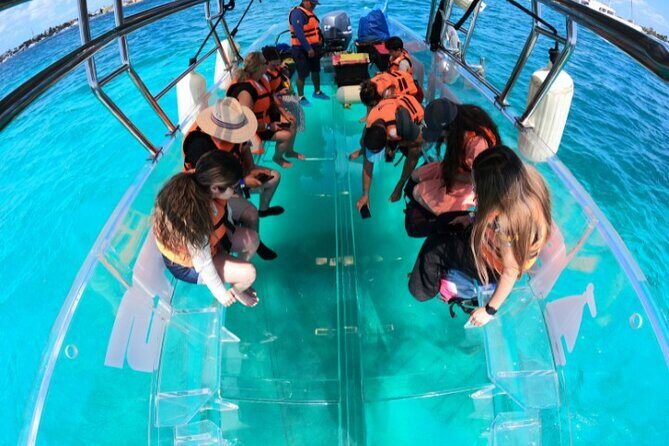 Explore Caribbean in a Transparent Boat in Isla Mujeres - The Experience in Detail