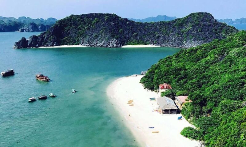 Explore Cat Ba Island from Ha Noi capital and back easily - Why Choose This Bus Service?