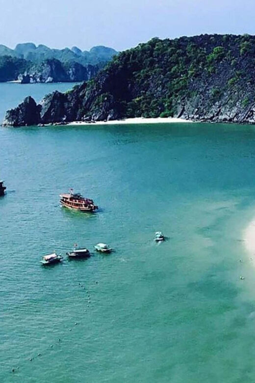 Explore Cat Ba Island from Ha Noi capital and back easily - The Sum Up