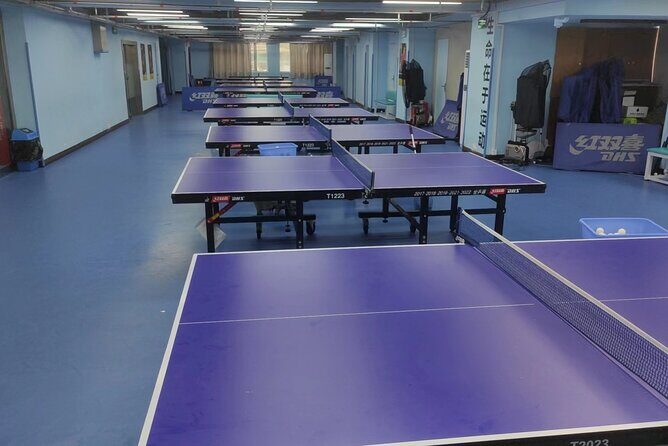 Explore Chinese Table Tennis with ITTF Museum Tour and match play - Who Should Consider This Tour?