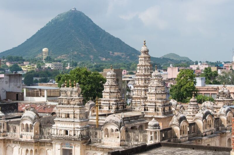 Explore Chittor Fort & Pushkar With Jaipur Drop from Udaipur - Who will love this tour?