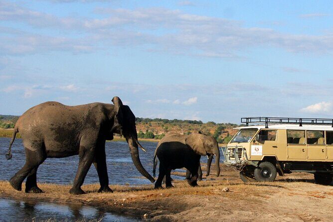 Explore Chobe National Park With a Day Trip from Victoria Falls - FAQ