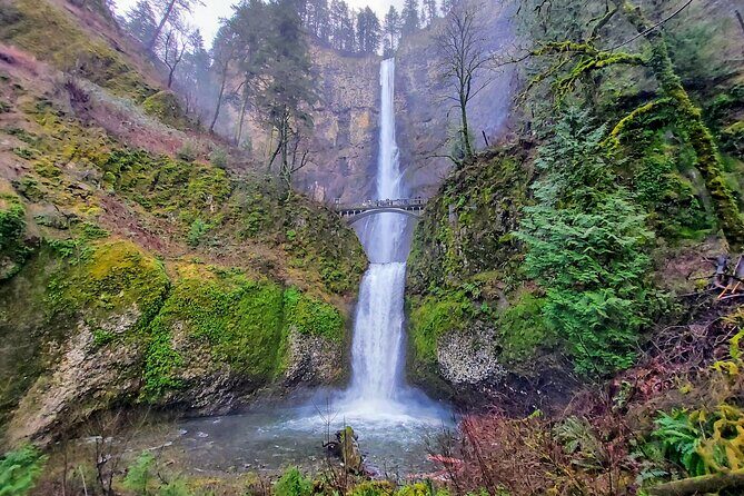 Explore Columbia River Gorge Half-Day Small-Group Hiking Tour - The Itinerary in Detail