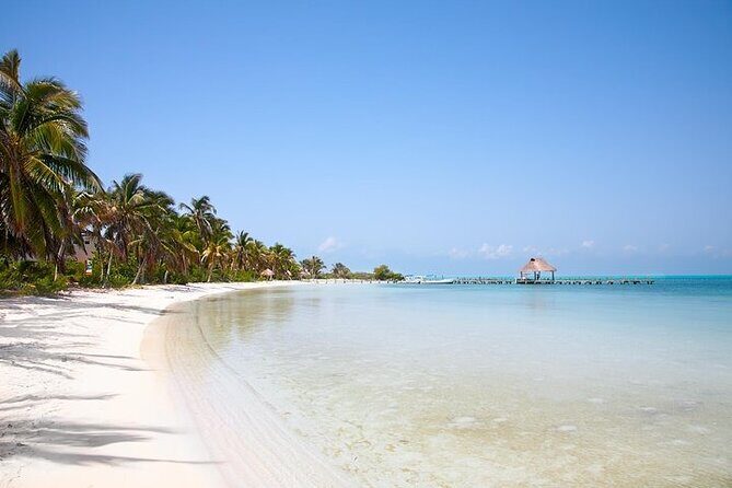 Explore Contoy Island - Key Points