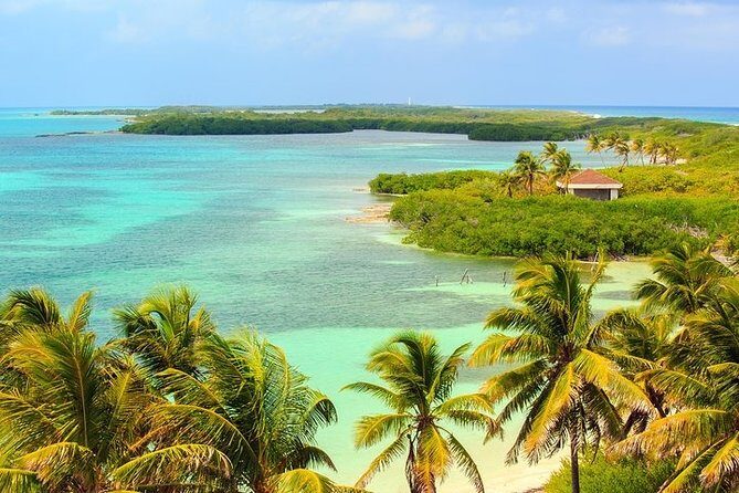 Explore Contoy Island - Authentic Experiences from Travelers