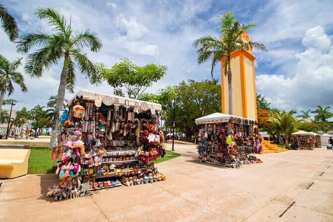 Explore Cozumel your Way Private Island Tour with Pro Guide - Why Choose the Explore Cozumel Your Way Tour?
