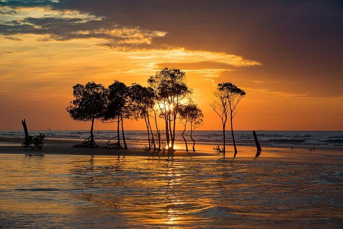 Explore Delightful Darwin: Self-Guided Audio Tour - Key Points
