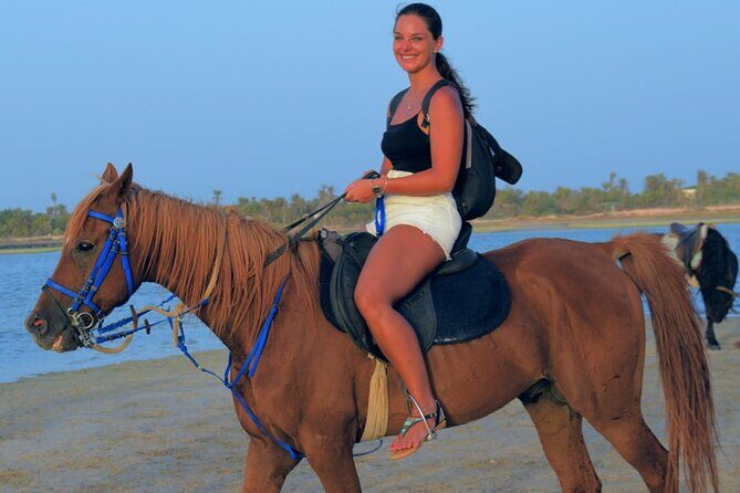 Explore Djerba by camel and horse - Key Points
