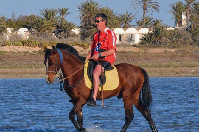 Explore Djerba by camel and horse - Starting Point and Transportation