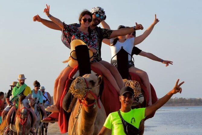 Explore Djerba by camel and horse - Group Size and Atmosphere