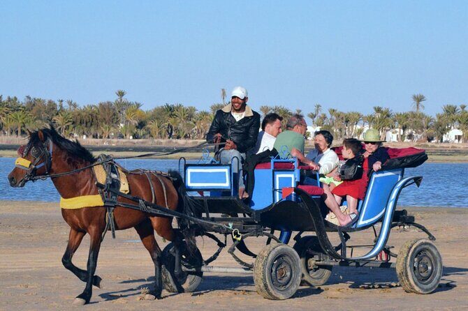 Explore Djerba by camel and horse - Authenticity and Cultural Touches