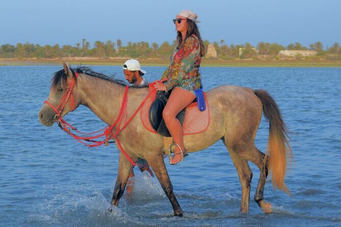 Explore Djerba by camel and horse - What Reviewers Say