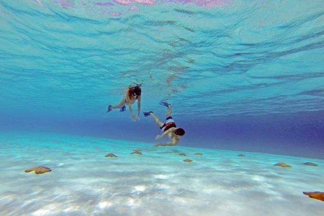 Explore El Cielo in Cozumel. Snorkel in 3 different reefs & visit Cielito Beach. - Introduction: What to Expect from a Snorkeling Day in Cozumel