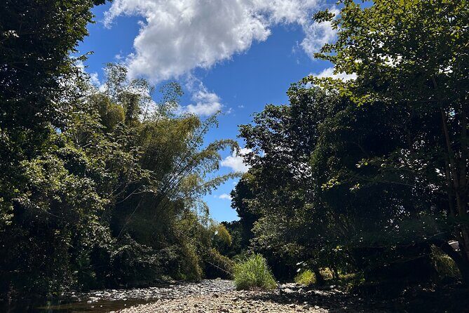 Explore El Yunque: Hiking, Swings & Waterslide (Small Group) - Is It Worth the Price?