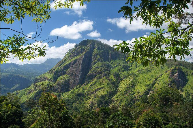Explore Ella Highlights in a Private Guided Tour - Practical Considerations