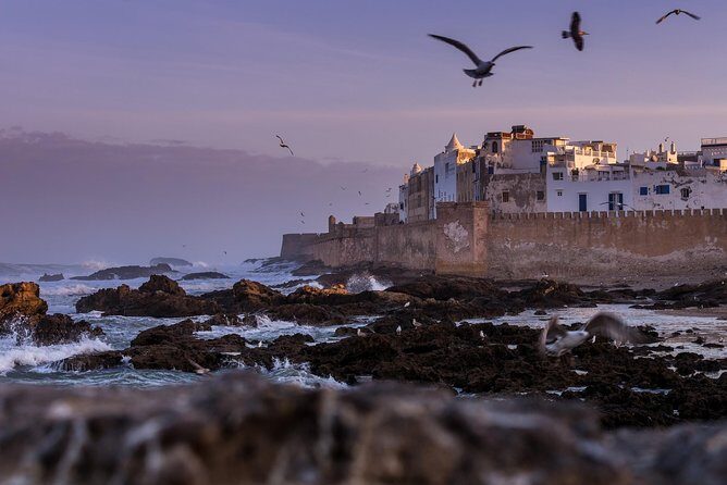 Explore Essaouira on a Day Trip from Marrakech - Authentic Traveler Insights and Feedback