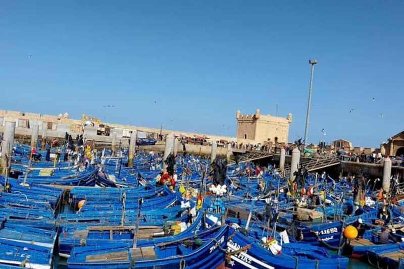 Explore Essaouira's Secrets: A Guided Tour with a Local! - An In-Depth Look at the Essaouira Guided Tour