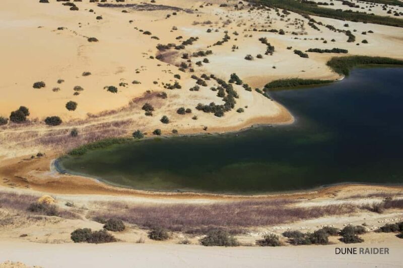 Explore Fayoum! - Authentic Experiences and Unique Highlights