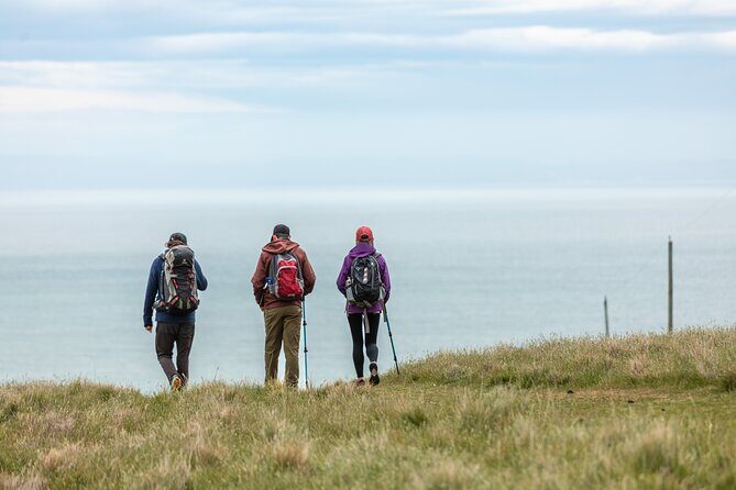 Explore Godley Head, Lyttelton & Christchurch (Small Group Tour) - Stop 3: Taylors Mistake and Godley Head Walk