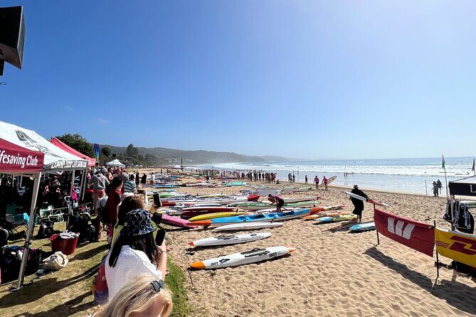 Explore Great Ocean Road and Twelve Apostles Private Tour - The Sum Up: Is This Tour Right for You?