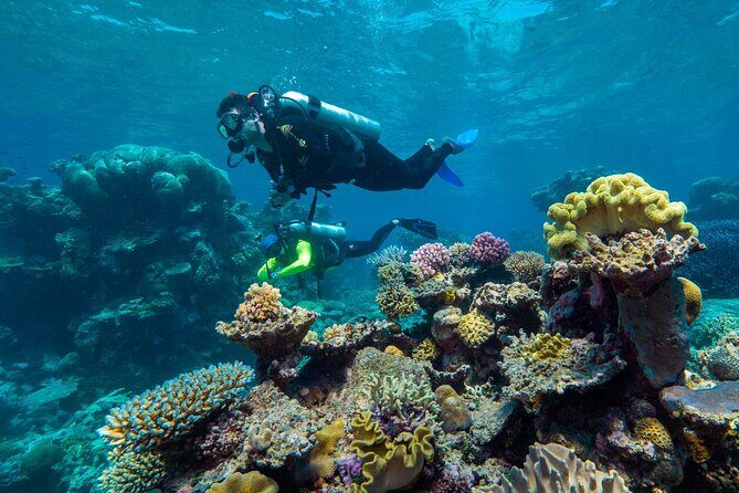 Explore Green Island with Diving options from Cairns - The Sum Up: Why This Tour Stands Out