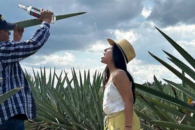 Explore Hierve el Agua, Mitla, Tule, Textile and Mezcal for a day - Authenticity and Value: Who Is This Tour For?