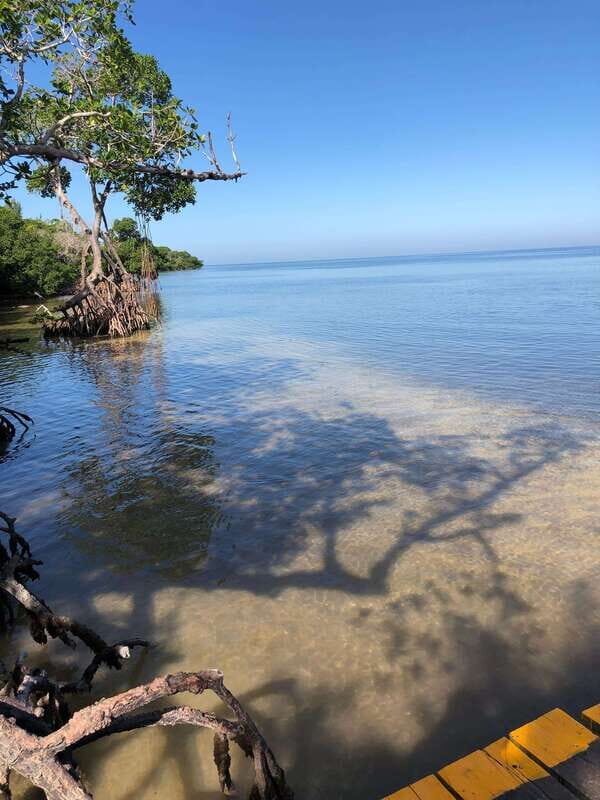 Explore Holbox Island VIP - 4 Points + Guacamole - Who Should Book This Tour?