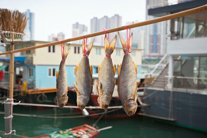 Explore Hong Kong: Aberdeen + Public Housing Estate Group Tour - Who Should Consider This Tour?