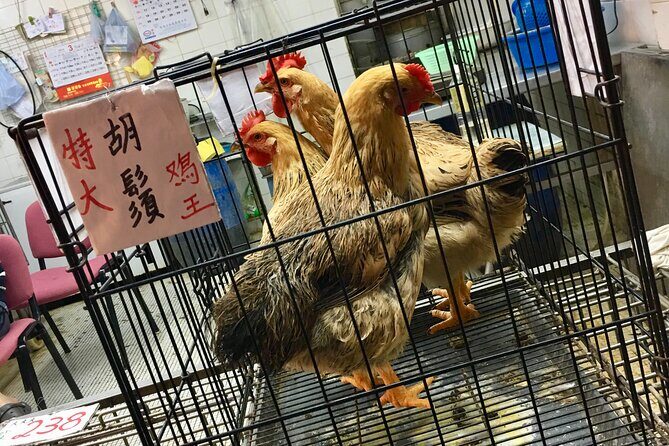 Explore Hong Kong: Sham Shui Po - Every Bit Local! - Who Will Love This Tour?